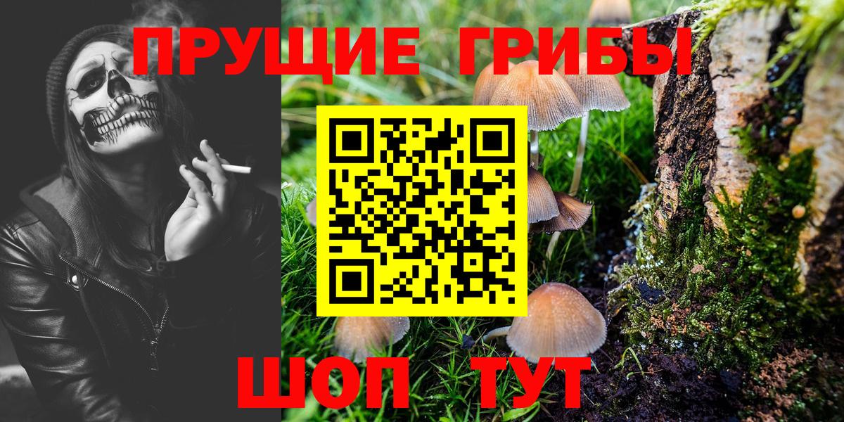 Карачаевск  Галлюциногенные грибы GOLDEN TEACHER  Вход с VPN 